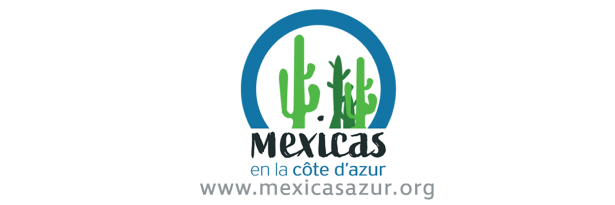 mexicazur_Plan de travail 1